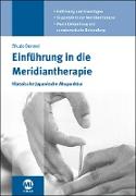 Einführung in die Meridiantherapie