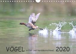 Vögel in Ost- und Norddeutschland 2020 (Wandkalender 2020 DIN A4 quer)