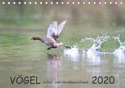 Vögel in Ost- und Norddeutschland 2020 (Tischkalender 2020 DIN A5 quer)