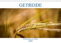 Getreide - Beobachtungen am Feldrand (Wandkalender 2020 DIN A4 quer)