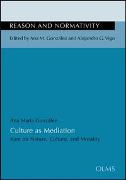 Culture as Mediation