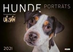 Uli Stein Hunde Porträts 2021: Monatskalender für die Wand im Großformat