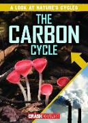 The Carbon Cycle