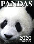 Pandas 2020 Calendar