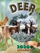 Deer 2020 Calendar