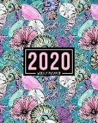2020 Weekly Planner: January 1, 2020 to December 31, 2020: Weekly & Monthly View Planner, Organizer & Diary: Pink & Purple Seashells 816-7