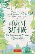 Forest Bathing: The Rejuvenating Practice of Shinrin Yoku