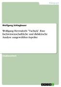Wolfgang Herrndorfs "Tschick". Eine fachwissenschaftliche und didaktische Analyse ausgewählter Aspekte