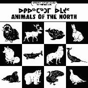 Animals of the North (Inuktitut/English)