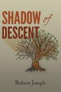 Shadow of Descent