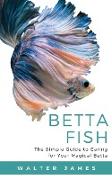 Betta Fish