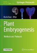 Plant Embryogenesis