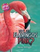 Why Are Flamingos Pink?