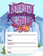 Vacation Bible School (Vbs) 2020 Knights of North Castle Small Promotional Poster (Pkg of 2): Quest for the King's Armor