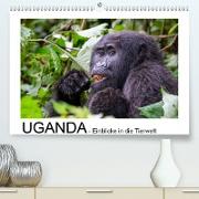 UGANDA - Einblicke in die Tierwelt (Premium, hochwertiger DIN A2 Wandkalender 2020, Kunstdruck in Hochglanz)