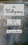 The Wellspring: Book One of the Crystal Key Trilogy