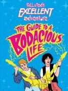 Bill & Ted's Excellent Adventure(TM): The Guide to a Bodacious Life