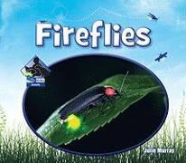 Fireflies