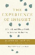 The Experience of Insight