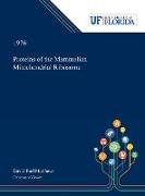 Proteins of the Mammalian Mitochondrial Ribosome