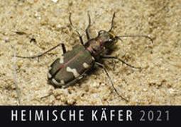 Heimische Käfer 2021