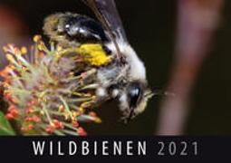 Wildbienen 2021