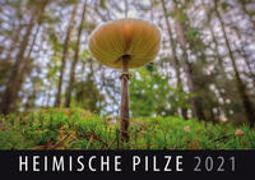 Heimische Pilze 2021