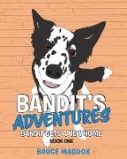 Bandit's Adventures: Bandit Gets a New Home