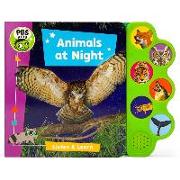 Animals at Night