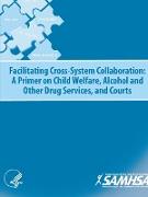 Facilitating Cross-System Collaboration