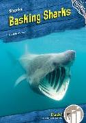 Basking Sharks