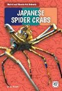 Japanese Spider Crabs