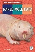 Naked Mole Rats