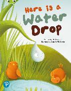 Bug Club Shared Reading: Here is a Water Drop (Year 2)