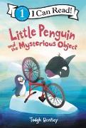 Little Penguin and the Mysterious Object