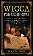 Wicca for Beginners