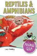 Reptiles & Amphibians