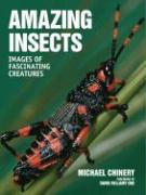Amazing Insects: Images of Fascinating Creatures