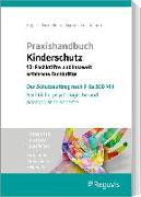 Praxishandbuch Kinderschutz für Fachkräfte und insoweit erfahrene Fachkräfte