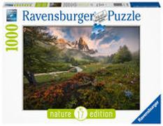 Ravensburger Puzzle 15993 - Malerische Stimmung im Vallée - 1000 Teile Puzzle für Erwachsene und Kinder ab 14 Jahren, Puzzle mit Landschafts-Motiv