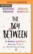 The Boy Between: A Mother and Son's Journey from a World Gone Grey