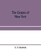 The grapes of New York