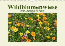 Wildblumenwiese Insektenparadies (Wandkalender 2021 DIN A3 quer)