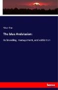 The blue Andalusian