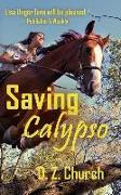 Saving Calypso