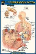 Anatomy of the Respiratory System (Pocket-Sized Edition - 4x6 Inches)