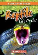 Reptile Life Cycles