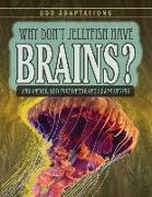 Why Don't Jellyfish Have Brains?: And Other Odd Invertebrate Adaptations