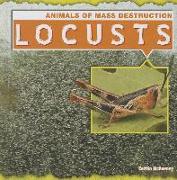 Locusts