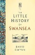 The Little History of Swansea